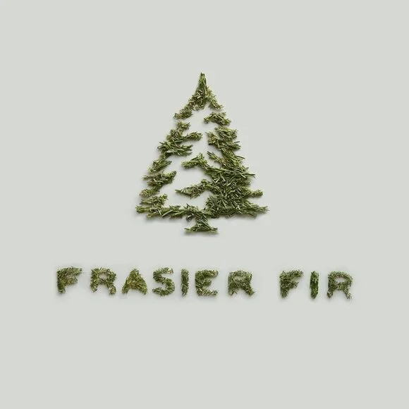 Frasier Fir Pine Needle Candle – Holiday Candles for Home Scented with Notes of